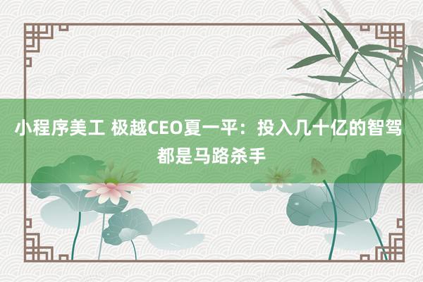 小程序美工 极越CEO夏一平：投入几十亿的智驾 都是马路杀手