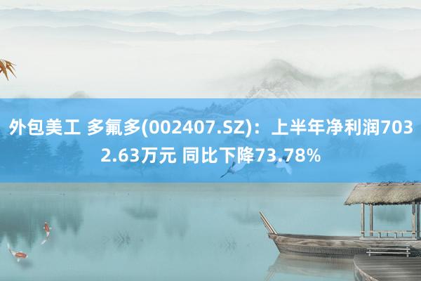 外包美工 多氟多(002407.SZ)：上半年净利润7032.63万元 同比下降73.78%