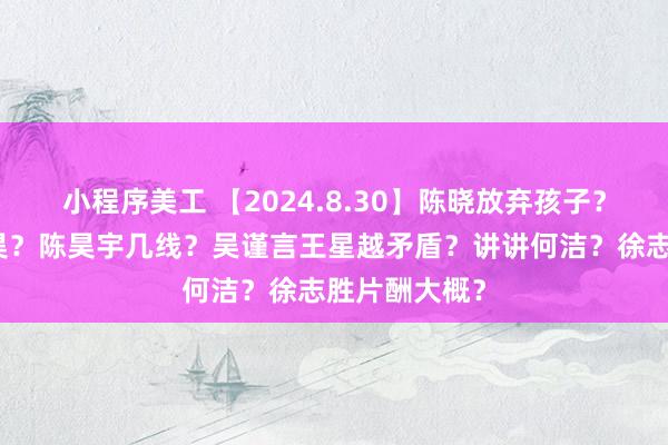 小程序美工 【2024.8.30】陈晓放弃孩子？周雨彤侯明昊？陈昊宇几线？吴谨言王星越矛盾？讲讲何洁？徐志胜片酬大概？