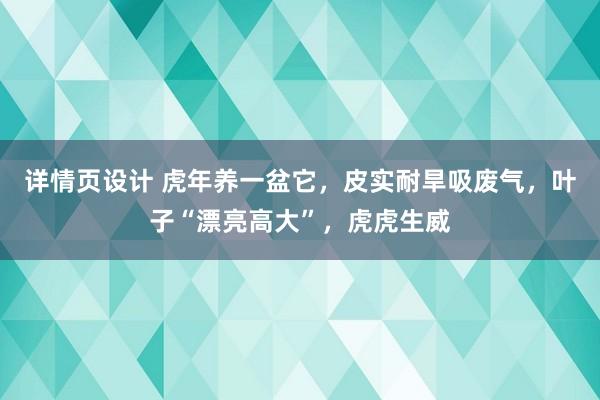 详情页设计 虎年养一盆它，皮实耐旱吸废气，叶子“漂亮高大”，虎虎生威